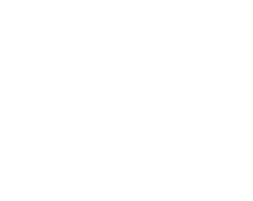 MAXION